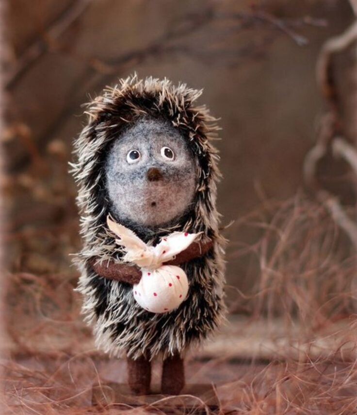 Фото из открытого доступа в сети