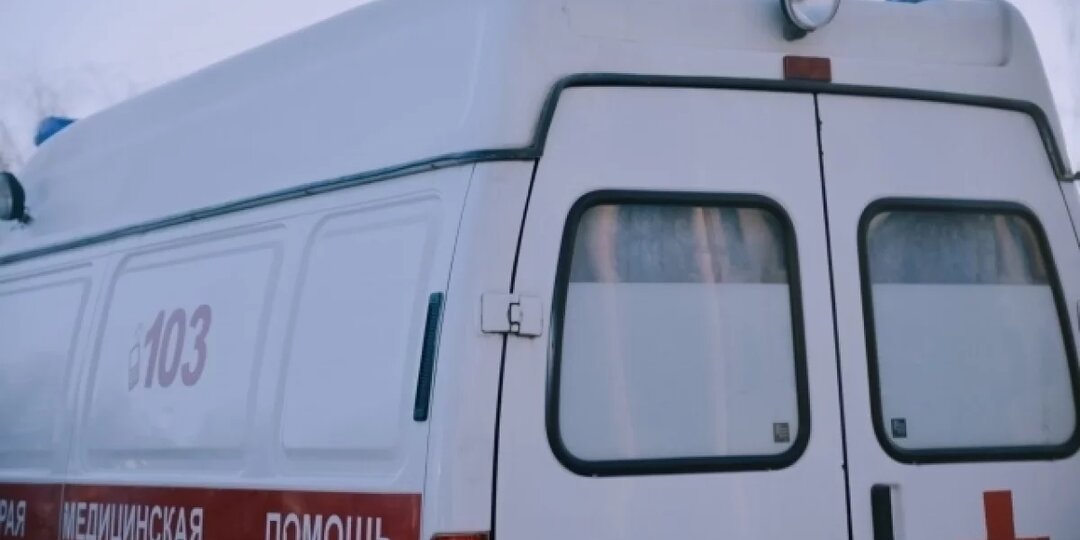 Рев и крик. Злая собака чуть не оставила 4-летнюю девочку без волос