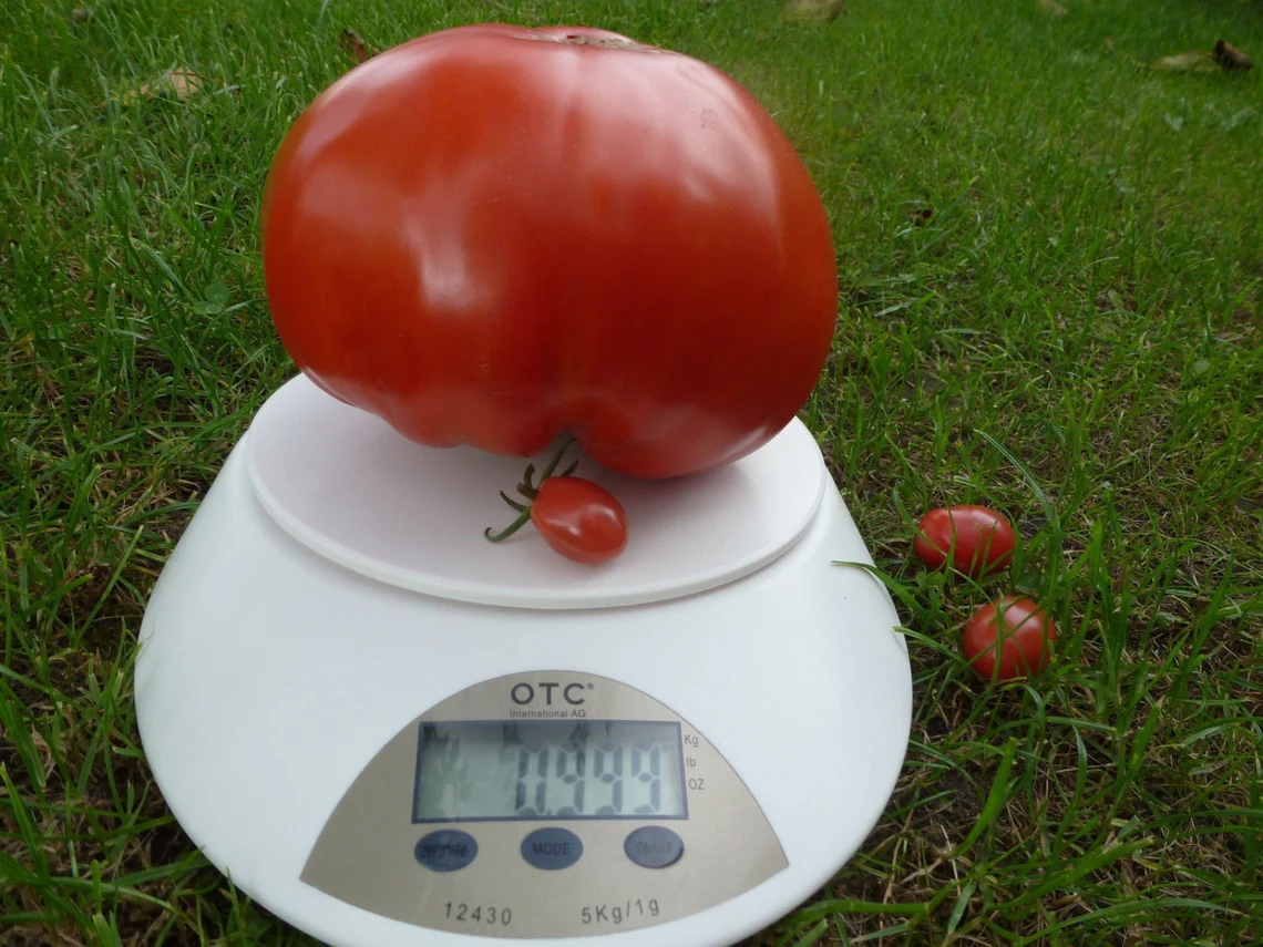 Фото из личного архива