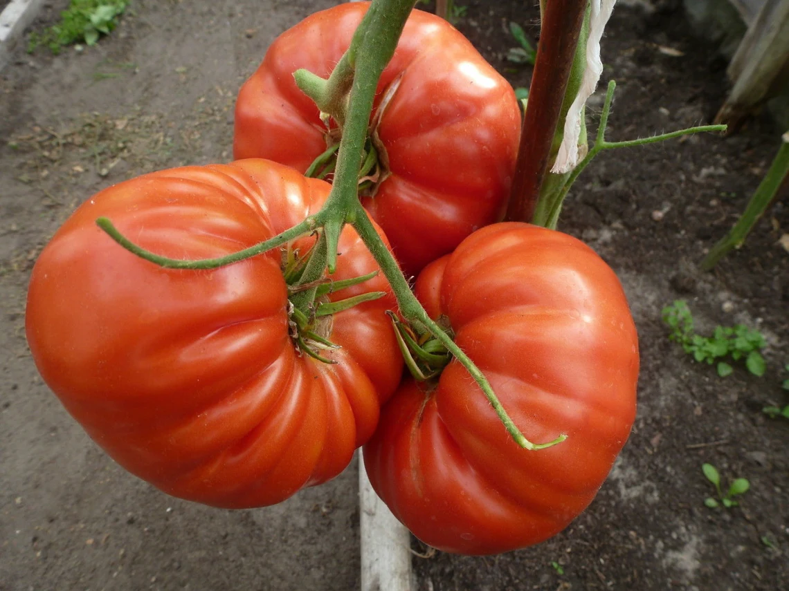 Фото из личного архива