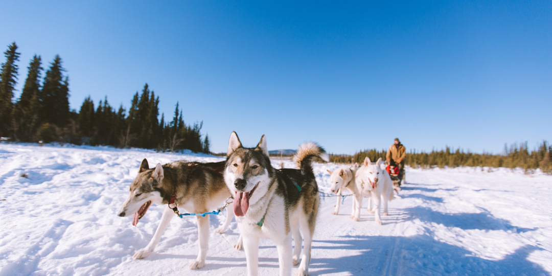 Путеводитель по Мурманску: куда сходить с детьми