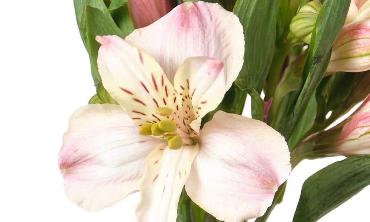    Фото t.me/rsn_yug