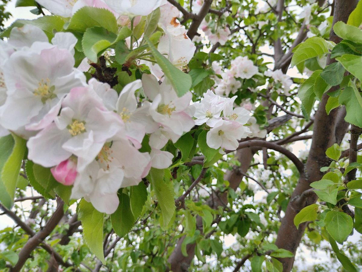 Фото автора.