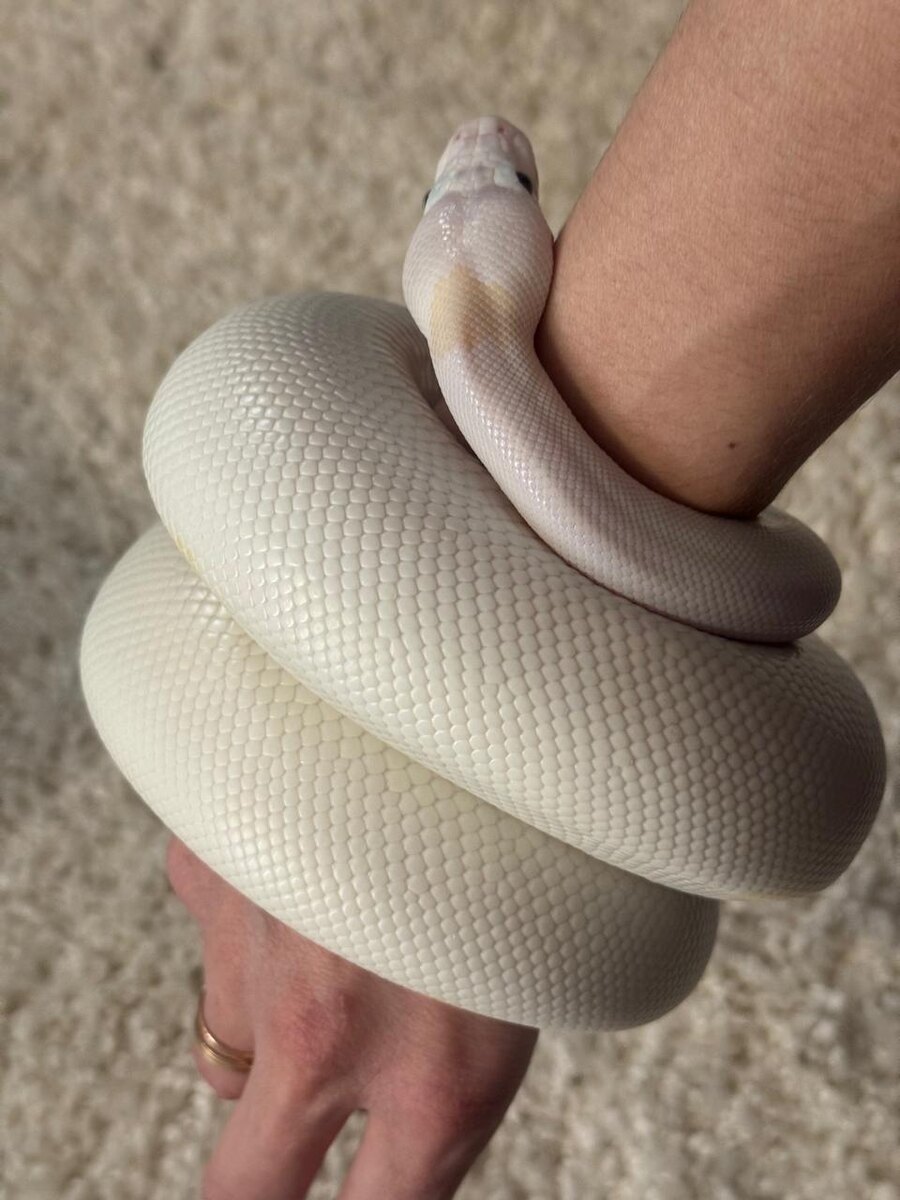 Увесистый "браслетик" однако! :)