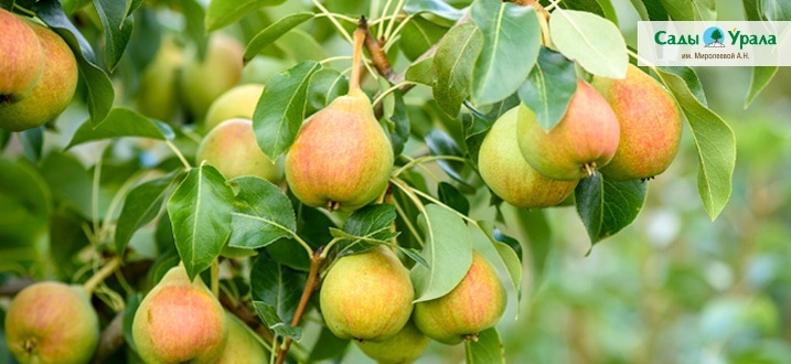 Создать карусельДобавьте описание