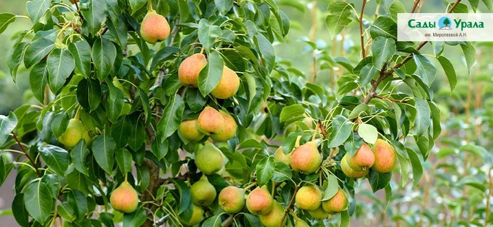 Создать карусельДобавьте описание