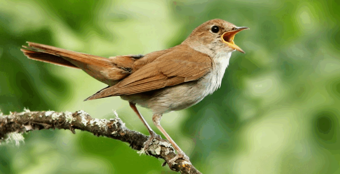    Фото: youdrop.ru