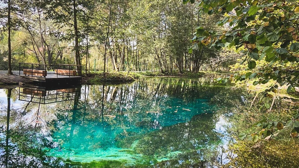     Источник: 1MI