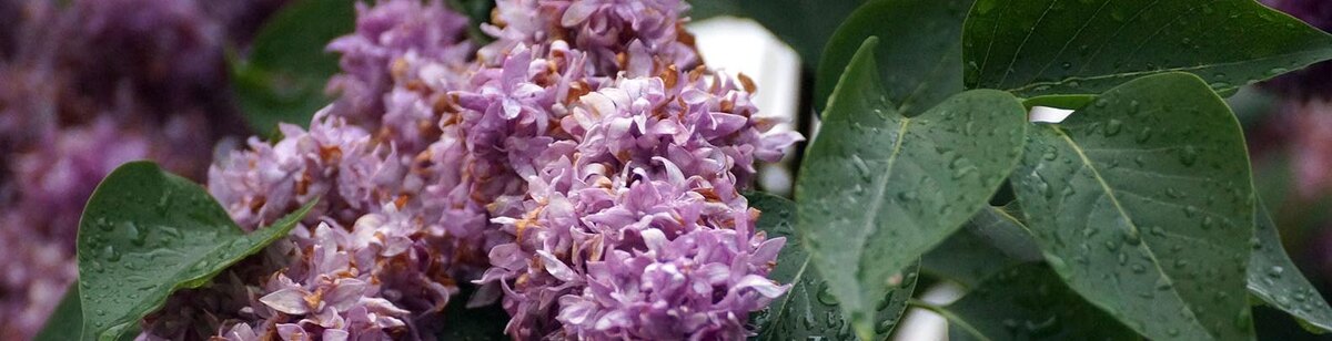    Фото: Сергей Егоров