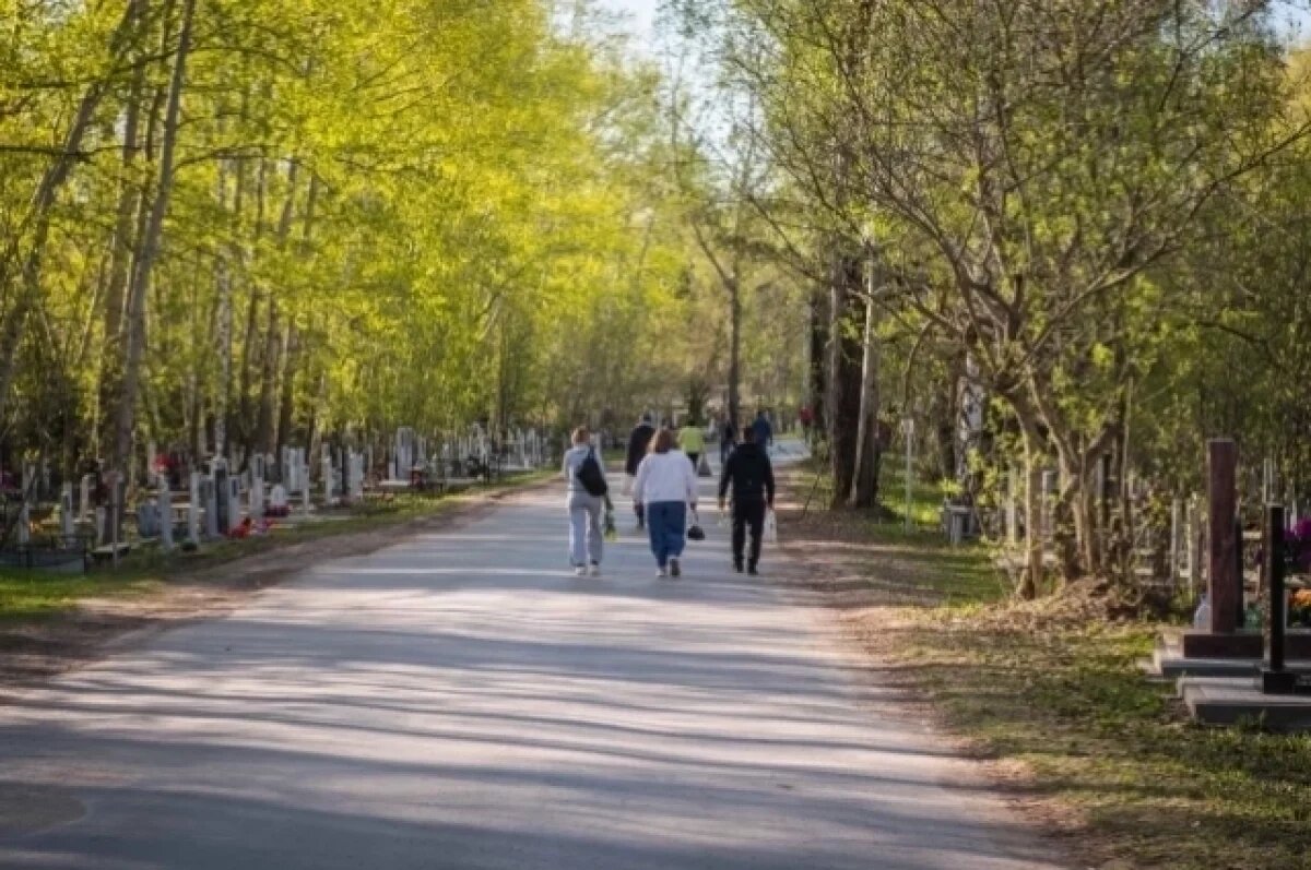    Стали известны даты обработки от клещей кладбищ Новосибирска