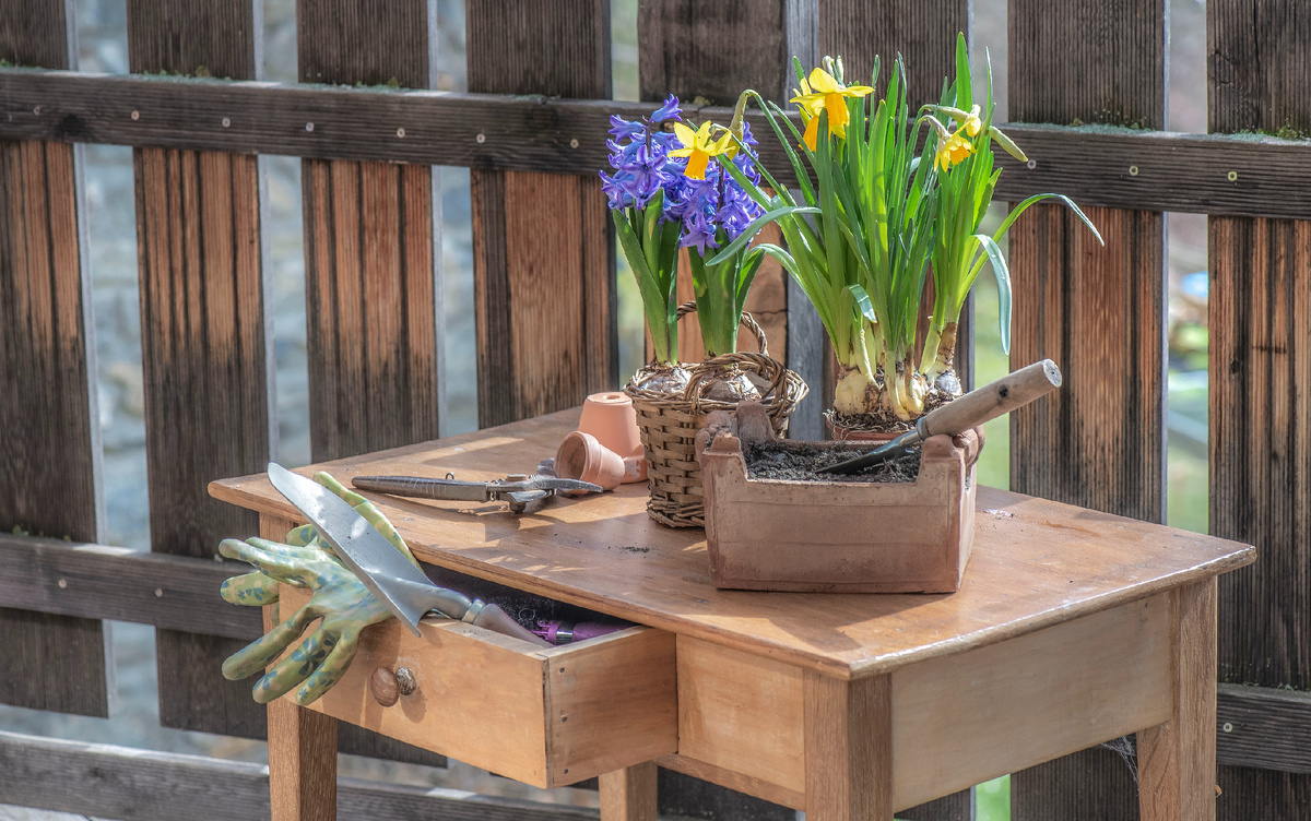 Designed by Freepik. Источник: www.freepik.com