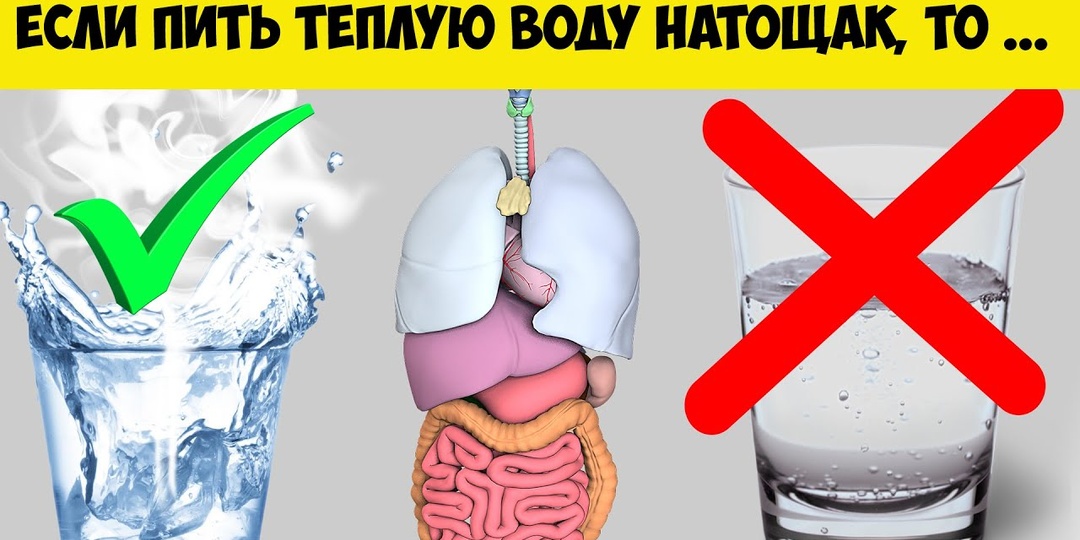 Что происходит с телом, если пить воду натощак: мнение врача