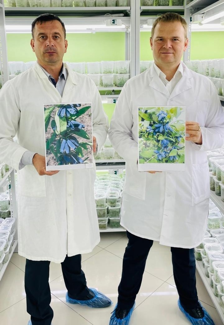 Исполнительный директор НПЦ Агропищепром Колесников Сергей Александрович, (справа) зам директора по инновационным технологиям НПЦ «Агропищепром» Брыксин Дмитрий Михайлович