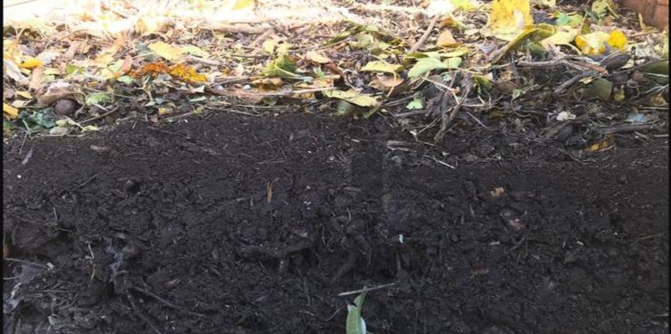 быстрый компост