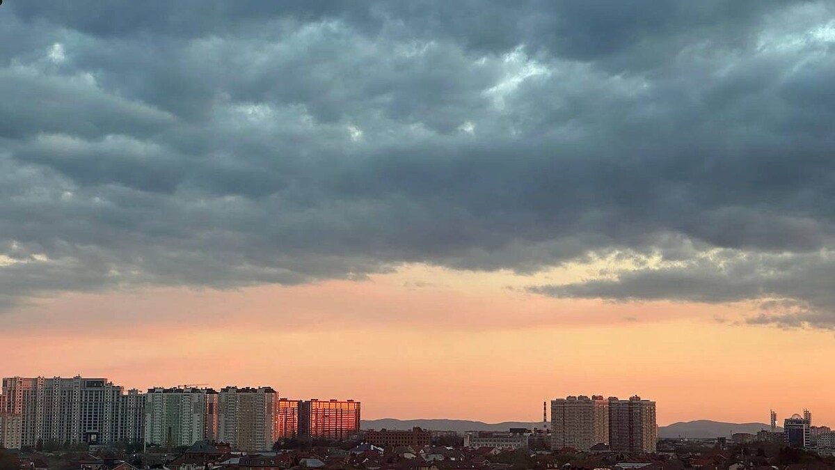    Фото: телеканал «Краснодар»