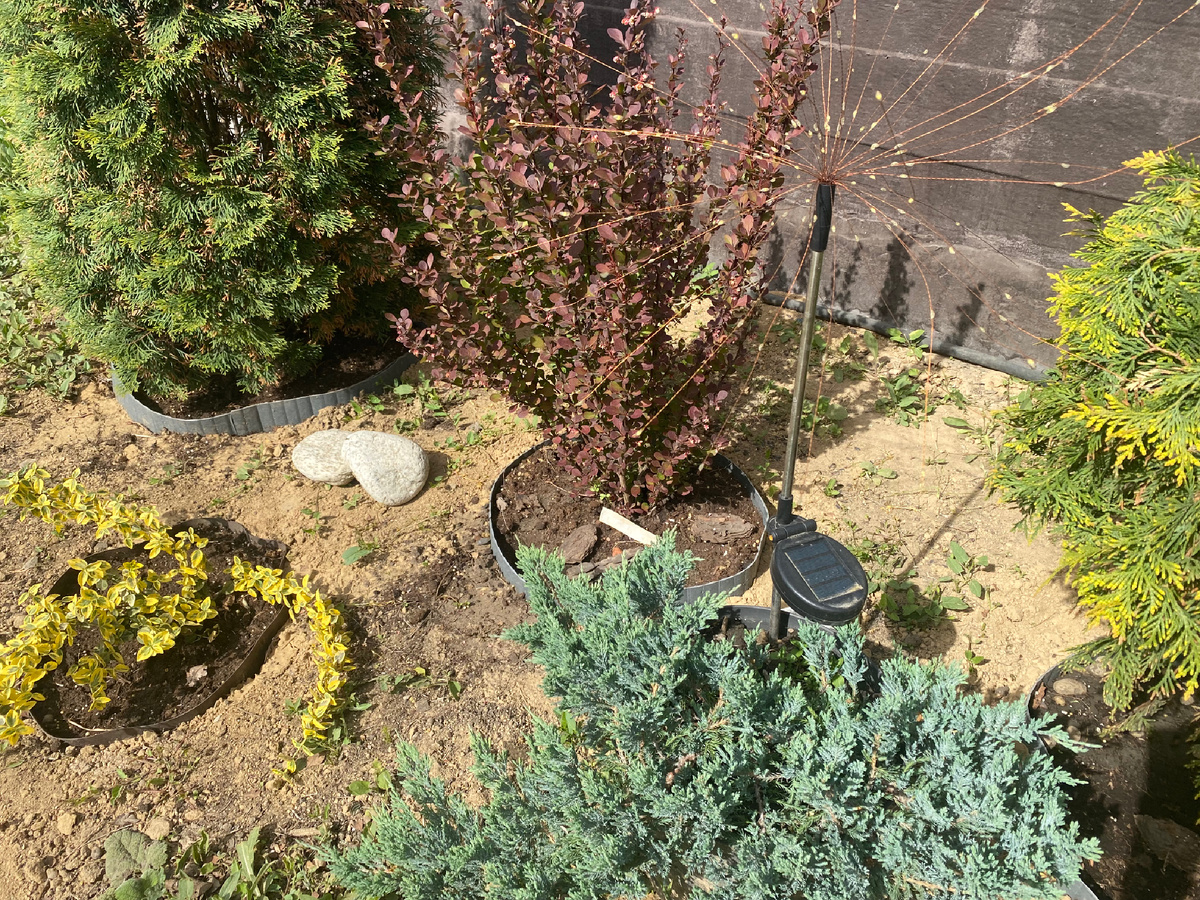 Я продолжаю делать новую клумбу. А пока предлагаю посмотреть свадьбу любимого сына. Правда это было давно 31.08.2024,я уже скоро стану бабушкой,😂но видосик сделали только сейчас.