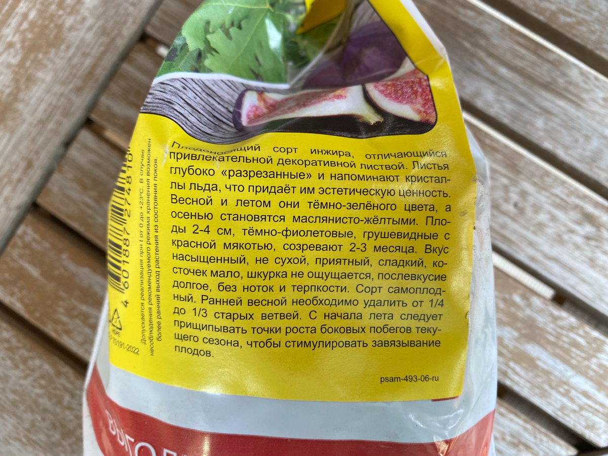 Описание сорта инжира Айс Кристал