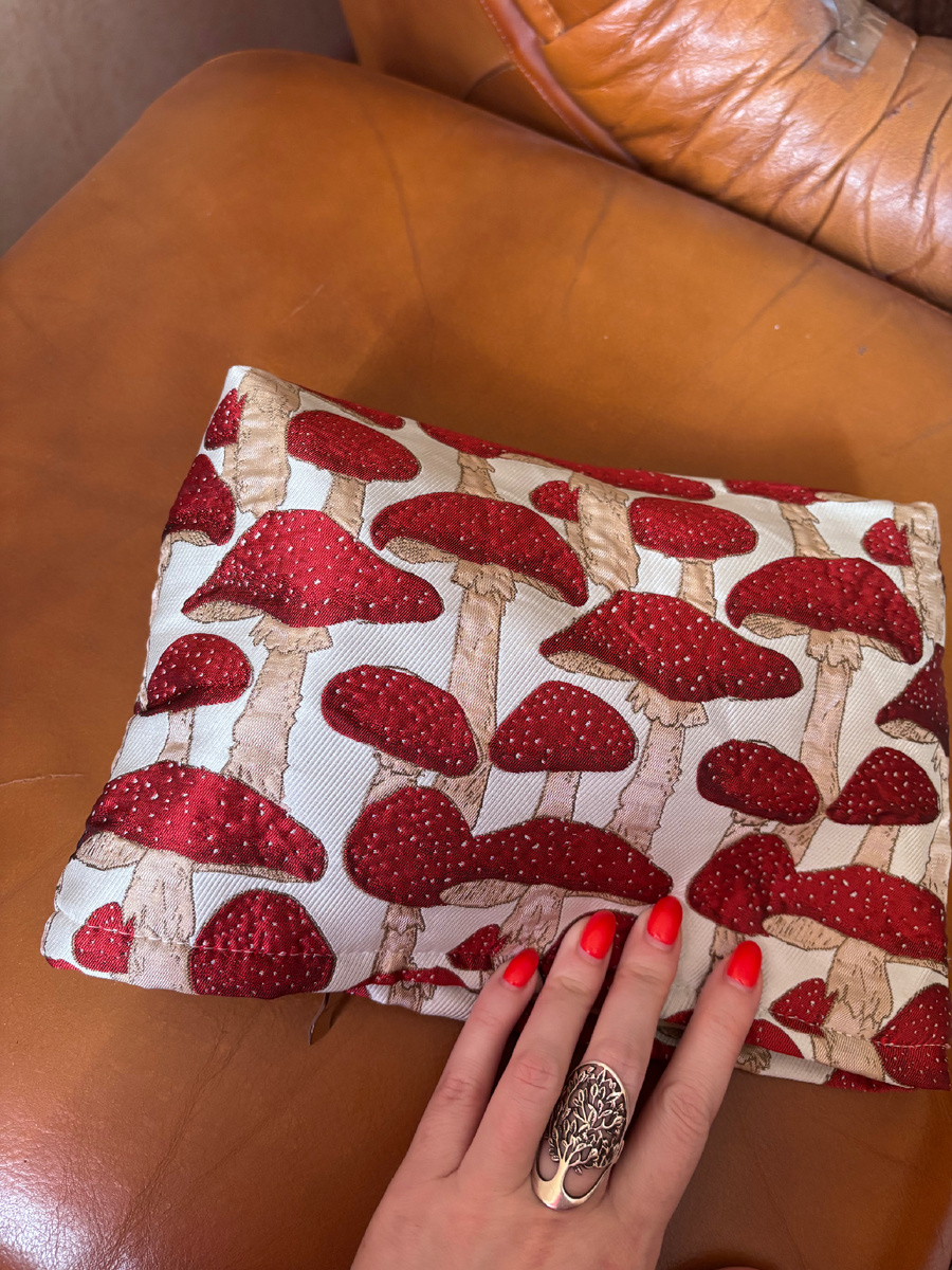 Мои мухоморы 🍄 