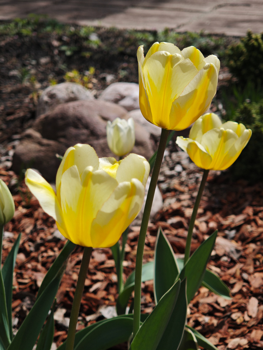 Галерея, листайте