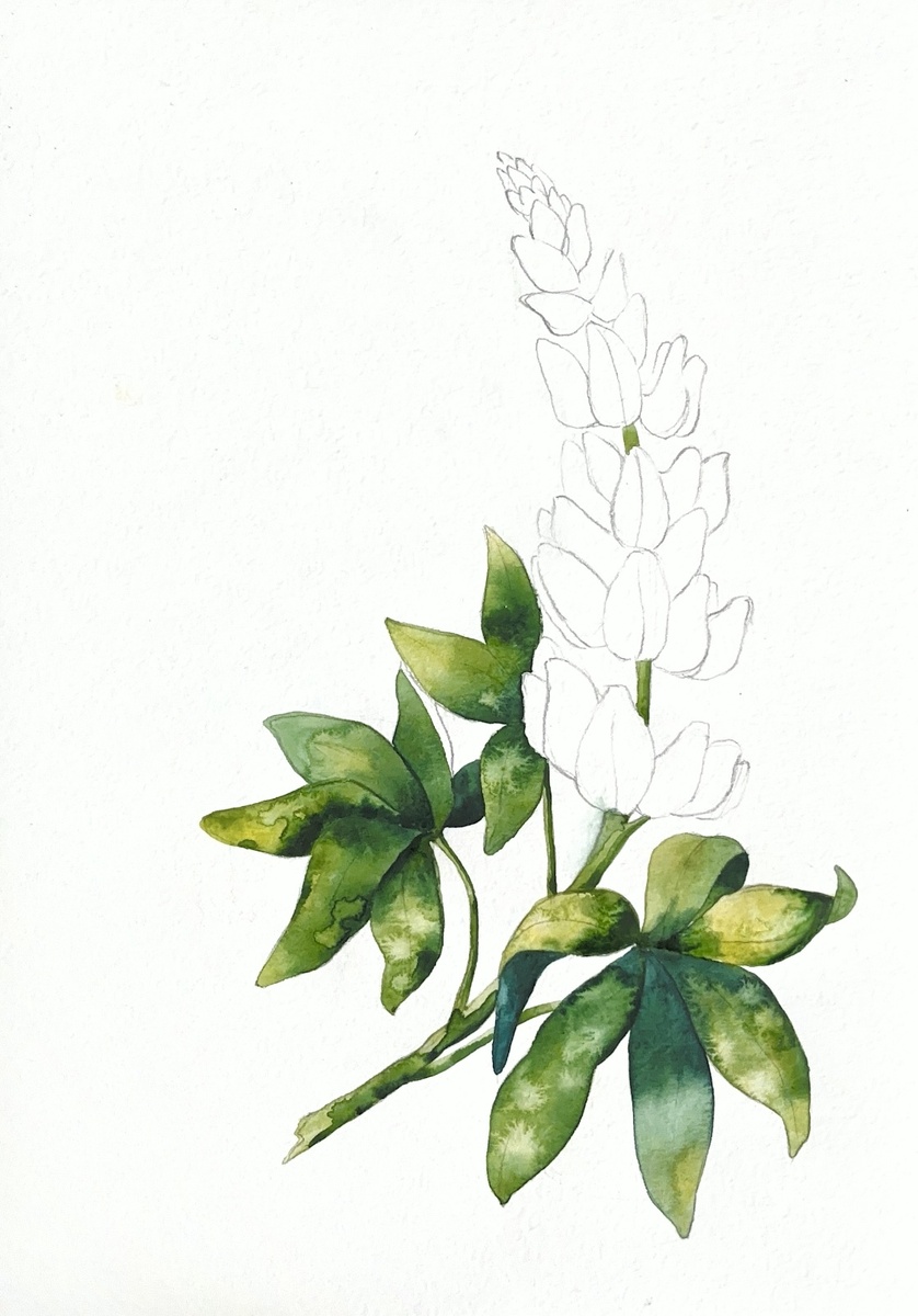 Заливка цветом листьев