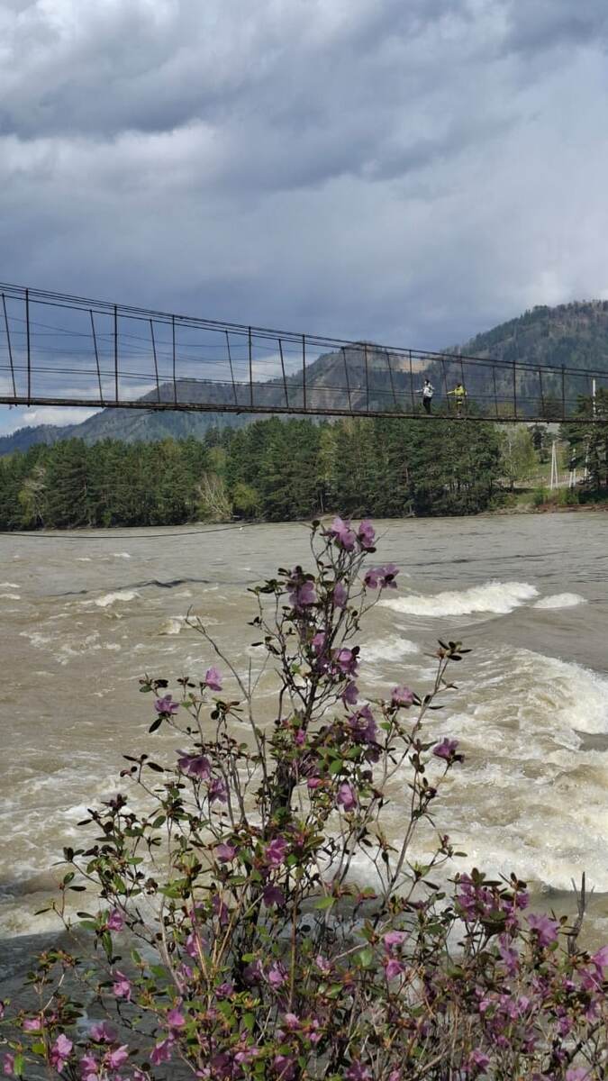 мост через Катунь