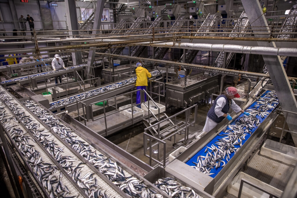 Фото с сайта Росрыболовства