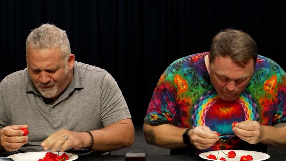 Фото: © Кадр из программы "Как устроен мир", РЕН ТВ