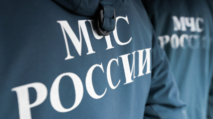    Фото: Алеев Егор/ТАСС; 5-tv.ru