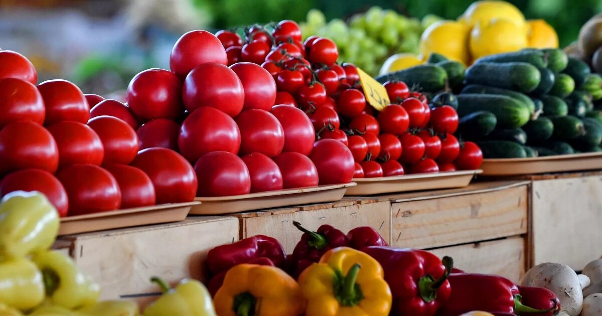 Фото: РИА Новости / Константин Михальчевский