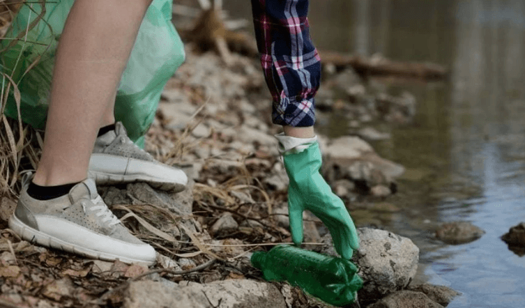    Фото: pskov.kp.ru