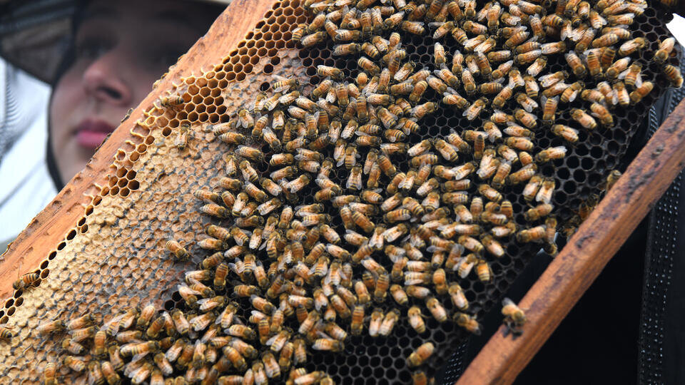 Фото: © Zuma/TASS