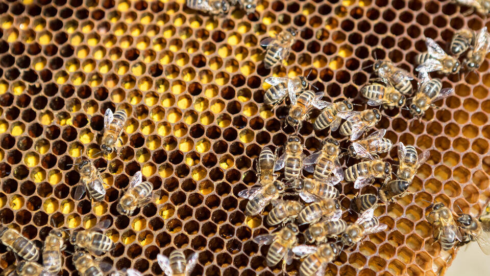 Фото: © РИА Новости/Илья Тимин