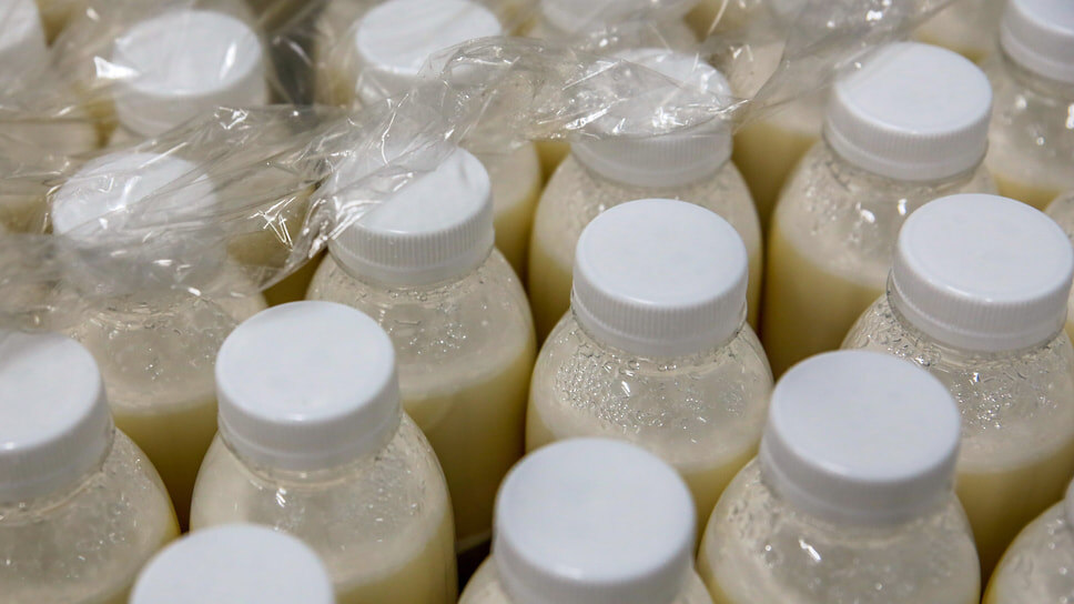 Фото: Александр Погожев / Коммерсантъ