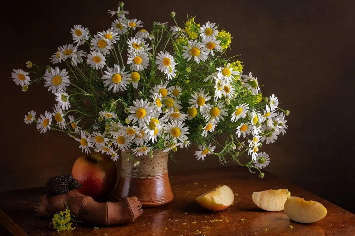 Картинка найдена на просторах интернета, ссылка: https://yandex.ru/images/search?from=tabbar&text=%D0%BF%D0%BE%D0%BB%D0%B5%D0%B2%D1%8B%D0%B5%20%D1%86%D0%B2%D0%B5%D1%82%D1%8B%20%D0%BD%D0%B0%D1%82%D1%8E%D1%80%D0%BC%D0%BE%D1%80%D1%82%20%D1%84%D0%BE%D1%82%D0%BE%20%D0%BA%D1%80%D0%B0%D1%81%D0%B8%D0%B2%D1%8B%D0%B5%20%D0%BA%D1%80%D1%83%D0%BF%D0%BD%D1%8B%D0%BC%20%D0%BF%D0%BB%D0%B0%D0%BD%D0%BE%D0%BC