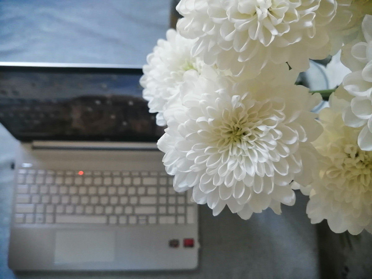 В такой атмосфере писать свою первую книгу ещё приятнее 😍