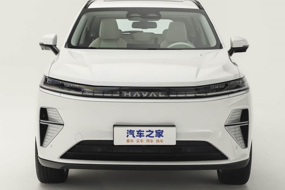    Haval Xiaolong Max. / Фото: Autohome.com.cn