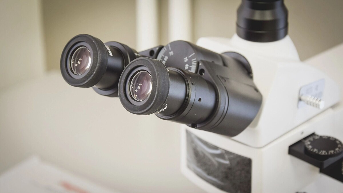     Источник: 1MI