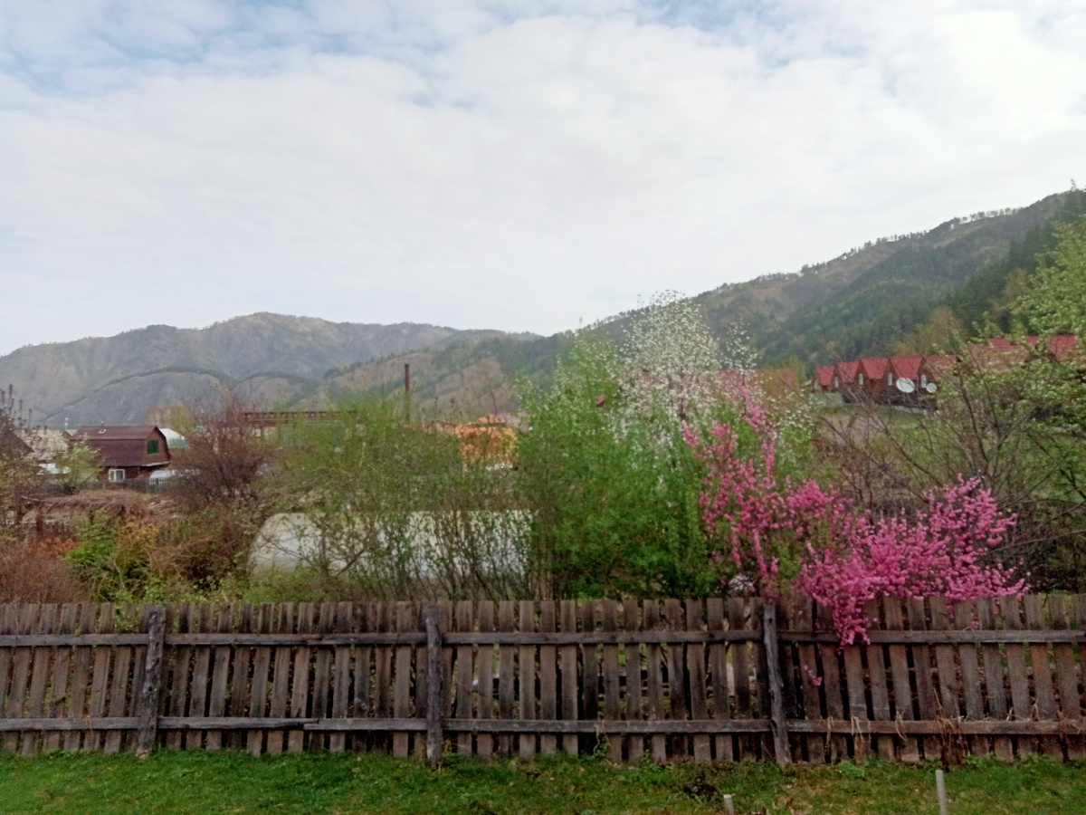 место, где я снимаю жильё 