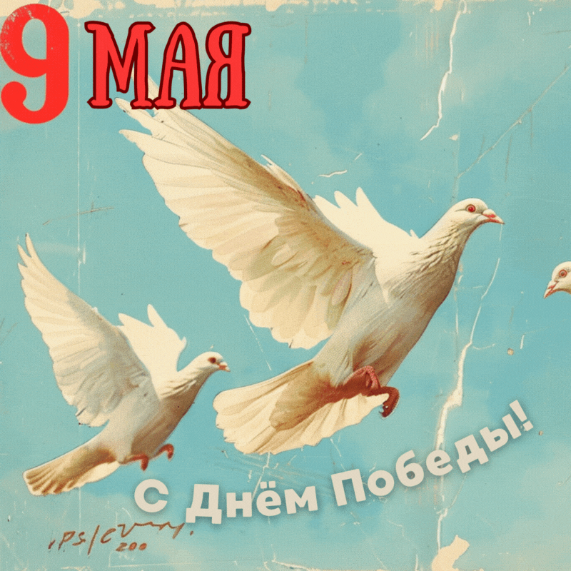 «Известия»
Старомодная открытка 9 Мая — 80 лет Победе, мирное небо