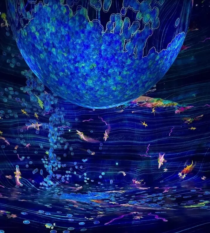  Идея создания музея teamLab принадлежит японцу Тосиюки Иноко   © DCT Abu Dhabi