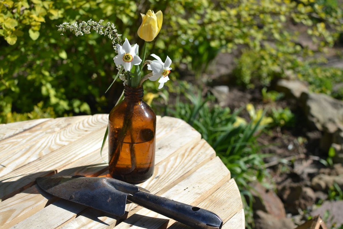 Две фотографии