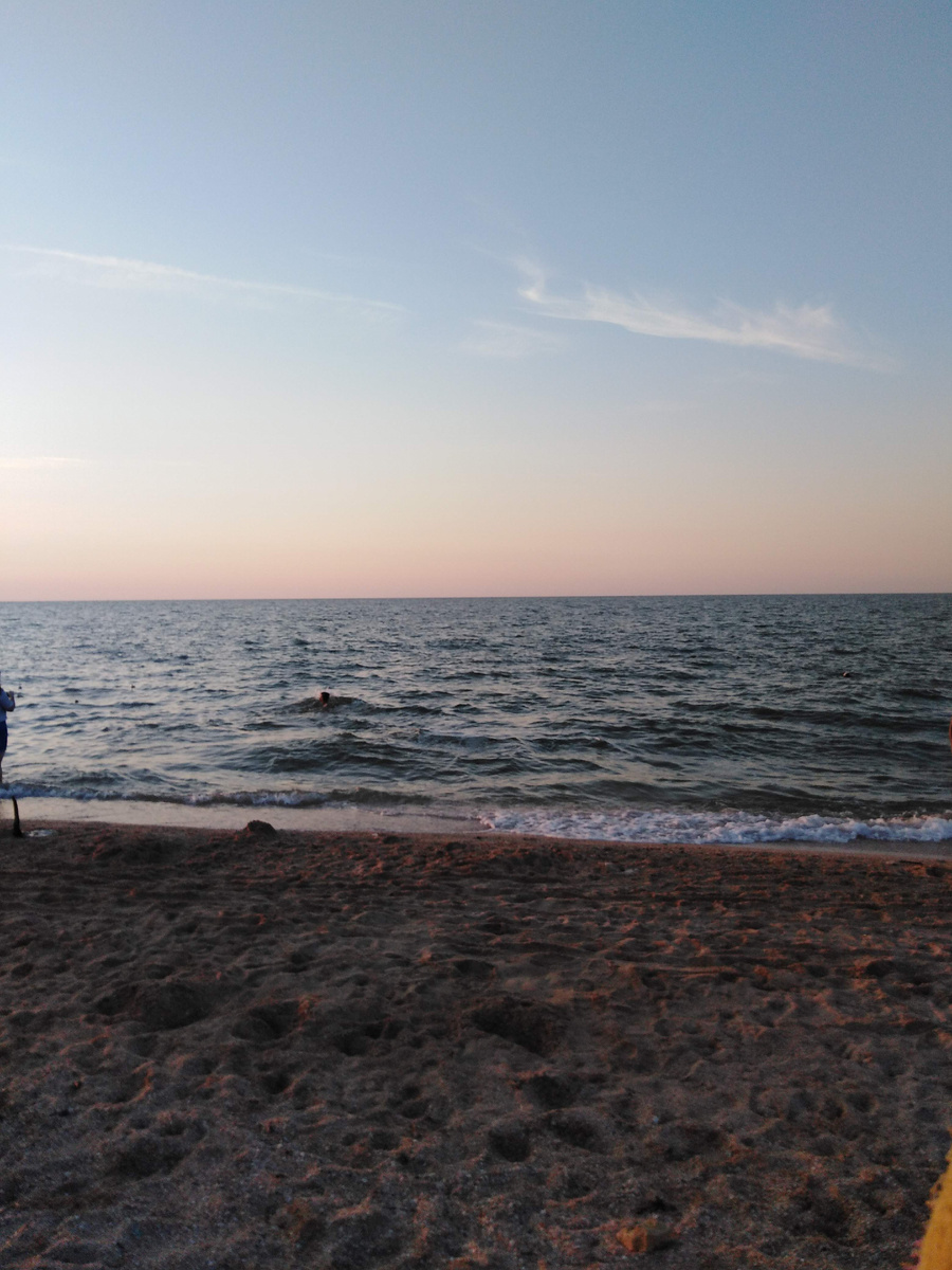 Голубицкая 2019