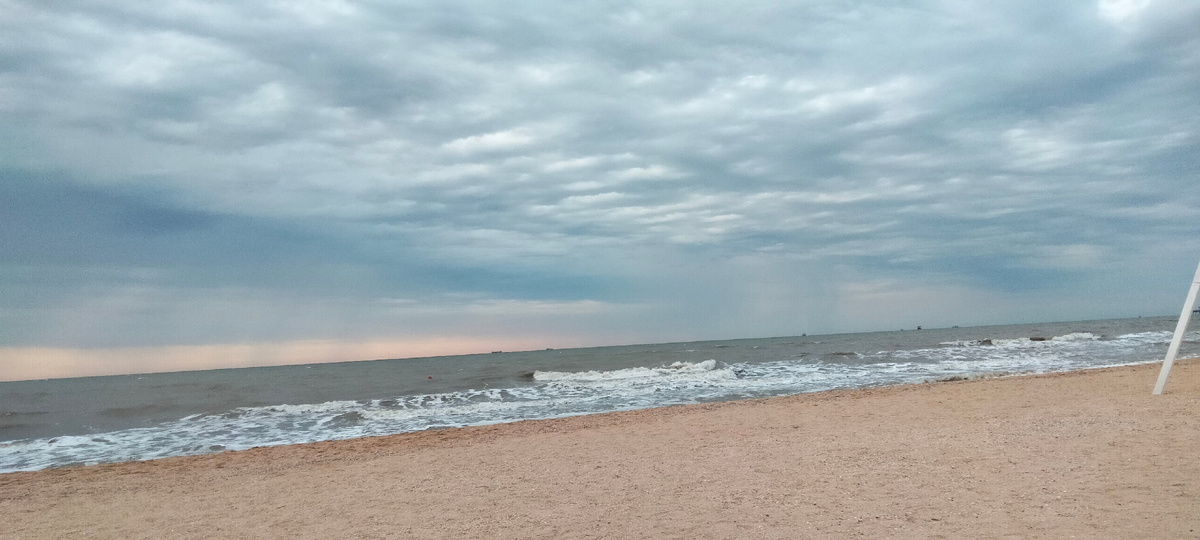 Голубицкая 2022