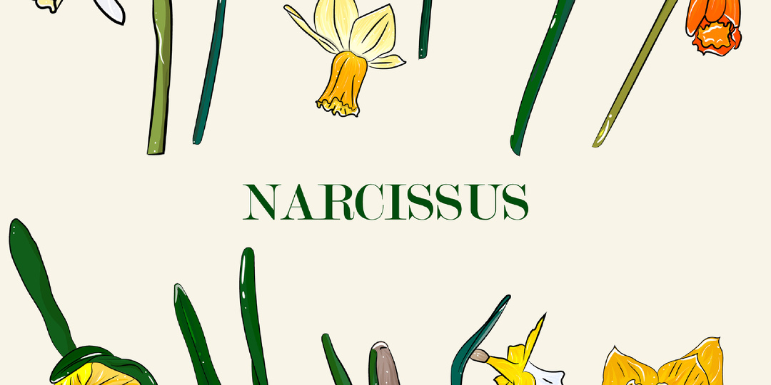 Опасность скрытого нарциссизма: незаметное разрушение личности