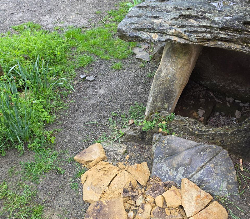    Фото: соцсети