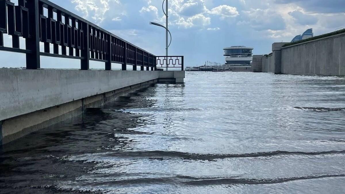     Источник: novostivolgograda.ru