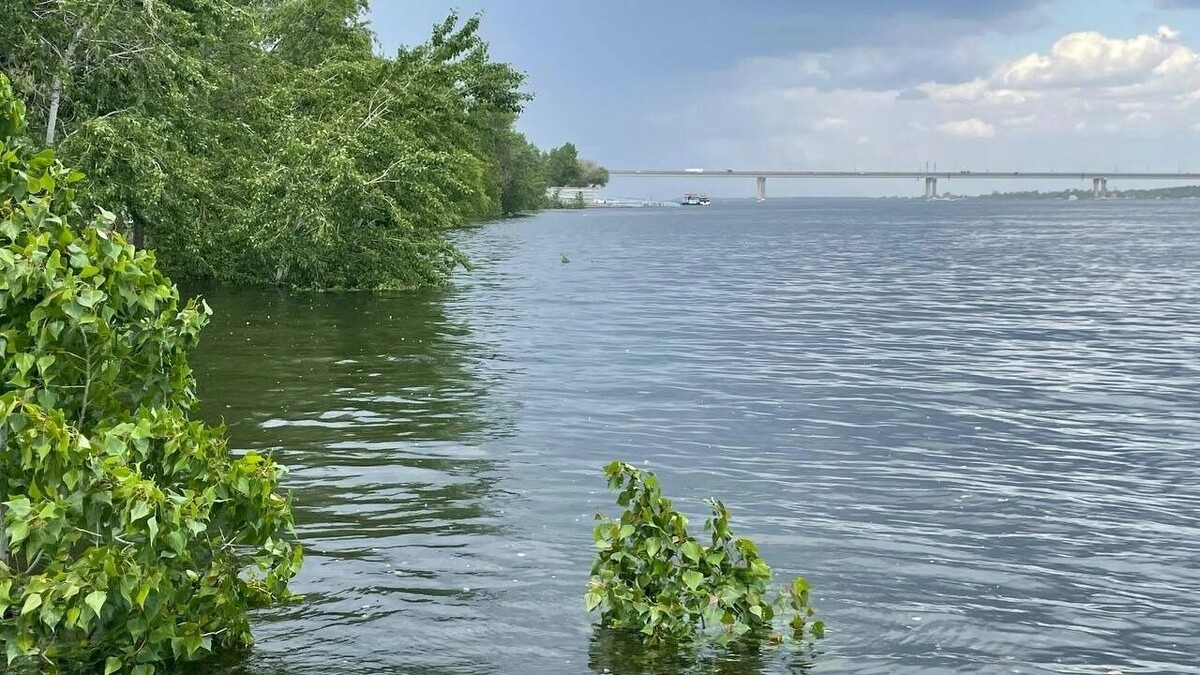     Источник: novostivolgograda.ru