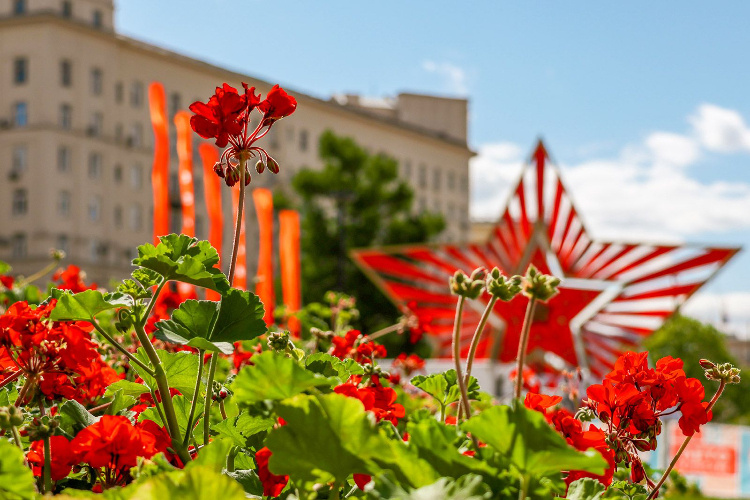    Фото: пресс-служба Департамента торговли и услуг города Москвы