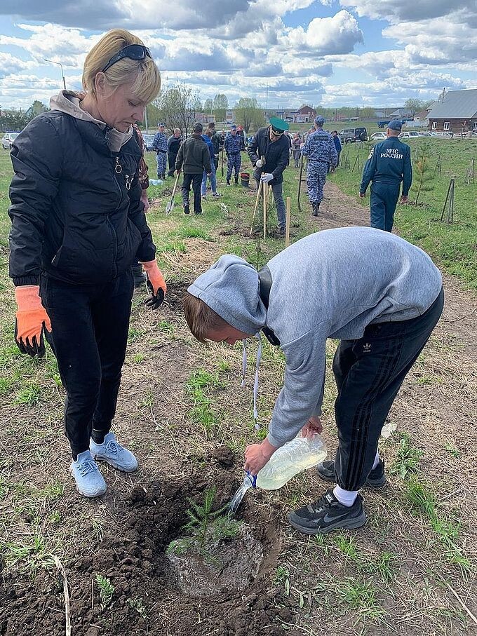 Мальчик-подросток поливает саженец ели водой из пластиковой бутылки