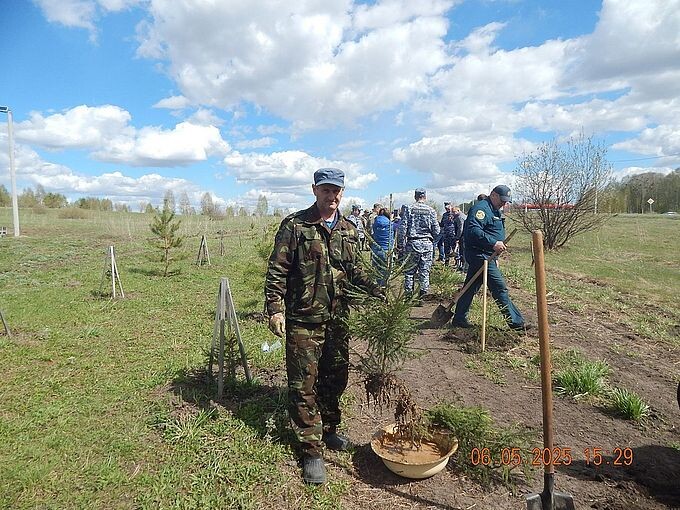 Лавриенко Сергей Анатольевич держит в руке саженец ели